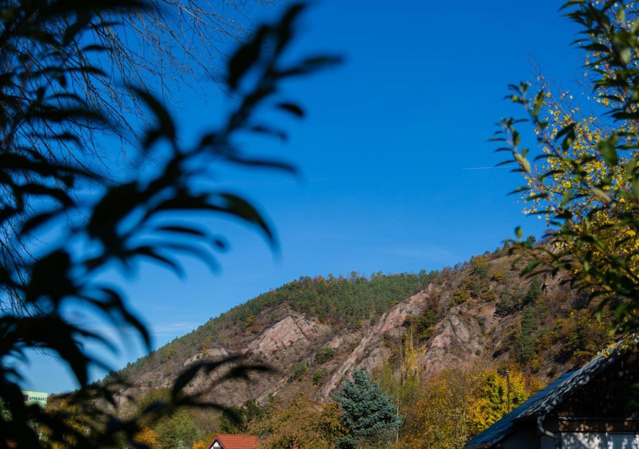 & Bohlenblick Guest house